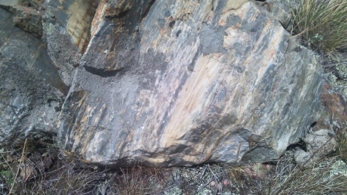 Гигантские зелёные валуны для ландшафтного дизайна весом более 5 тонн купить в Архангельской области