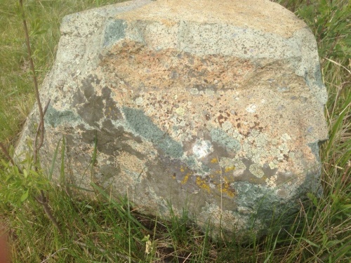 Гигантские зелёные валуны для ландшафтного дизайна весом более 5 тонн купить в Архангельской области