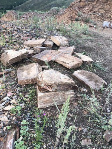 Плитняк кора дерева 50-100мм для пошаговых дорожек купить в Архангельской области